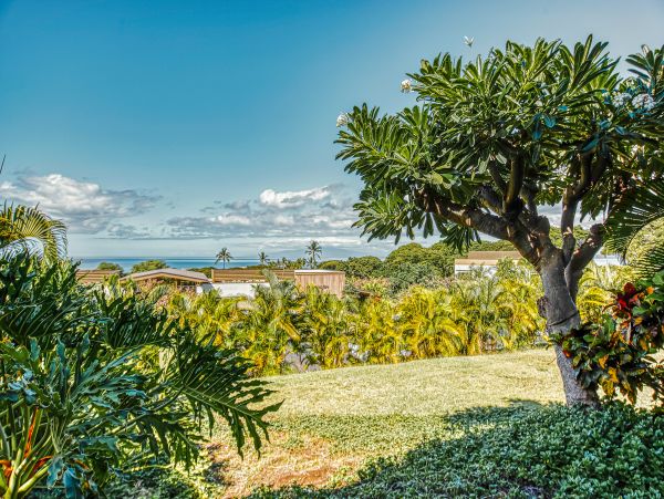 Wailea Home 1018436