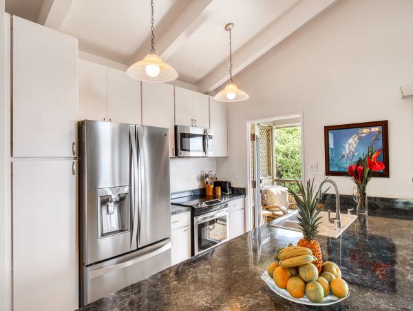 Wailea Home 1018437