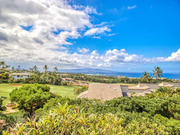 Wailea Home 1018437