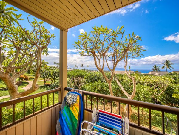 Wailea Home 1018437
