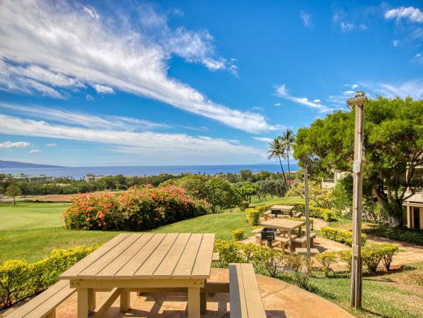 Wailea Home 1018437