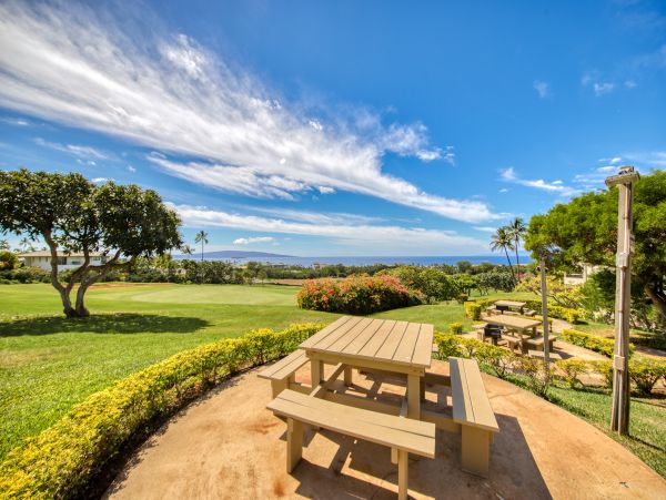 Wailea Home 1018437