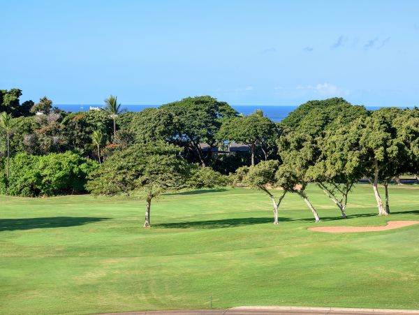 Wailea Home 1018438