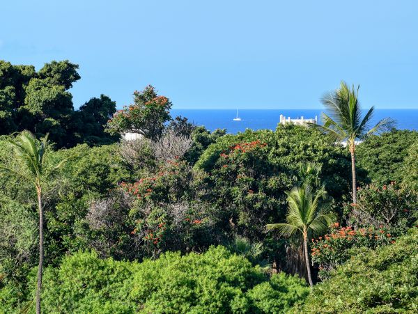 Wailea Home 1018438