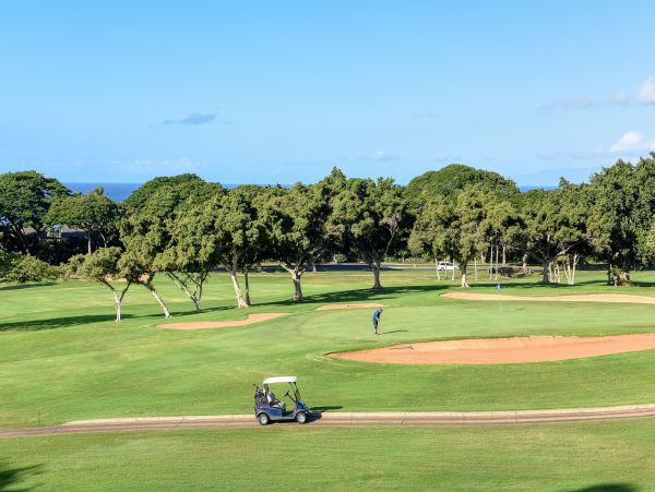 Wailea Home 1018438