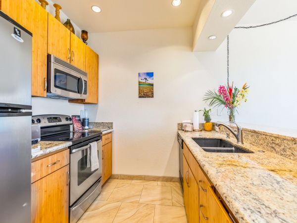 Wailea Home 1018438