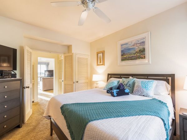 Wailea Home 1018438