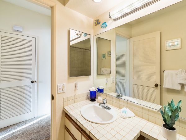 Wailea Home 1018438