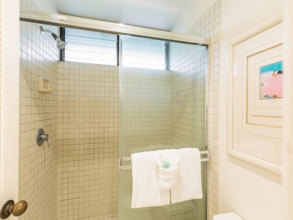 Wailea Home 1018438