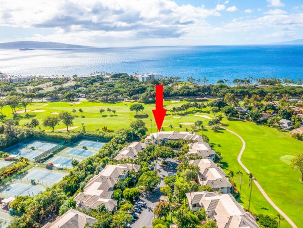 Wailea Home 1018438