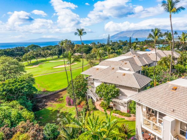 Wailea Home 1018438