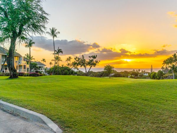 Wailea Home 1018438