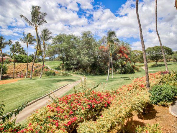 Wailea Home 1018438