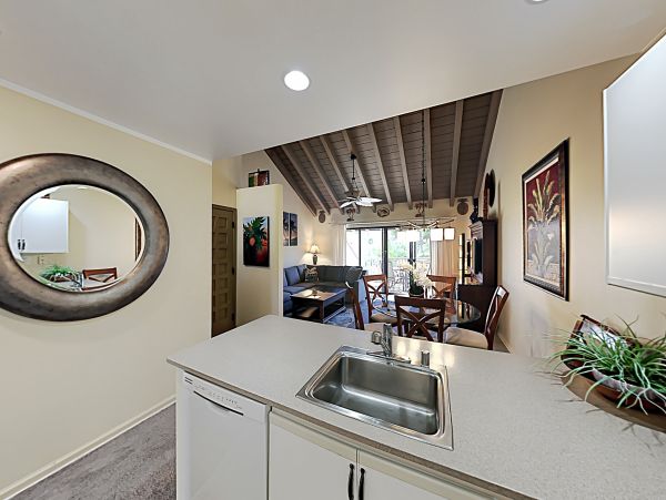 Wailea Home 1018439