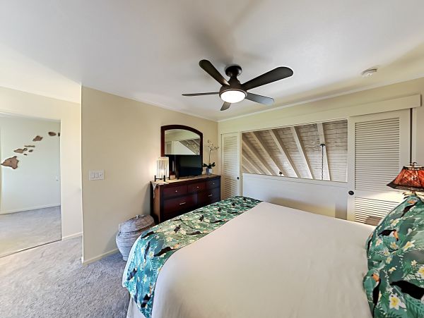 Wailea Home 1018439
