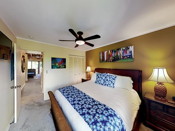 Wailea Home 1018439