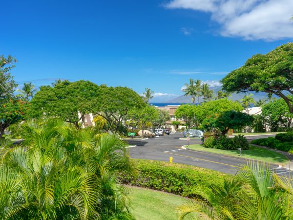 Wailea Home 1018439