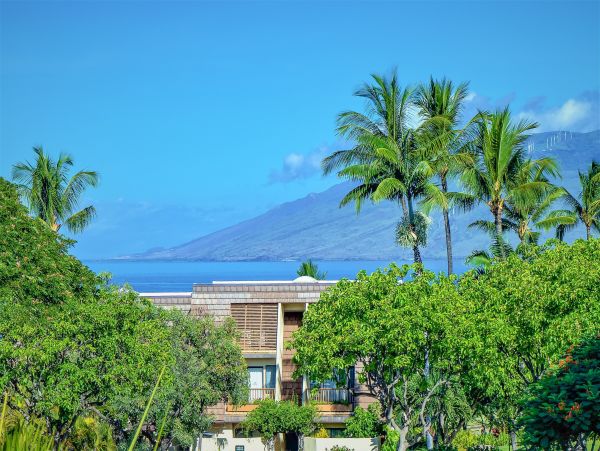 Wailea Home 1018439