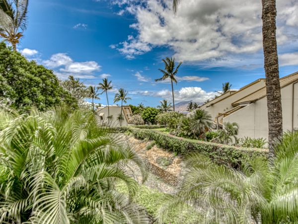 Wailea Home 1018441