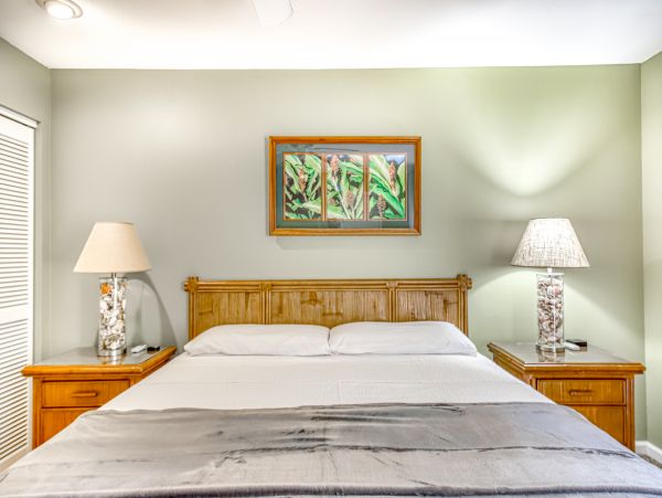 Wailea Home 1018441