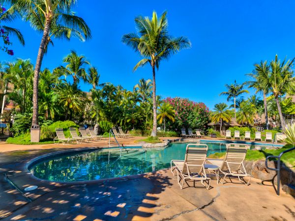 Wailea Home 1018441