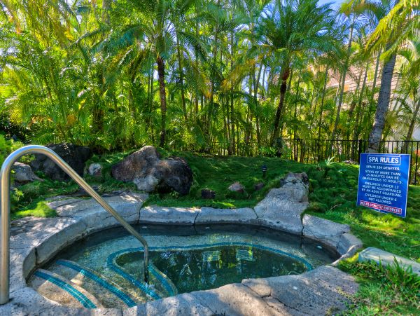 Wailea Home 1018441