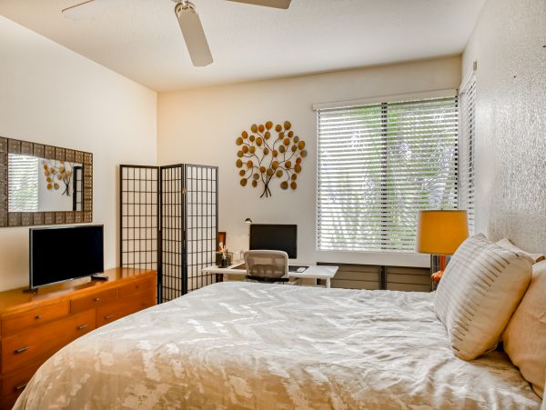 Wailea Home 1018443