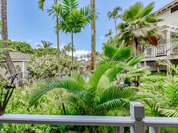 Wailea Home 1018443