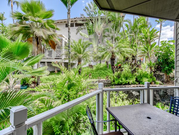 Wailea Home 1018443
