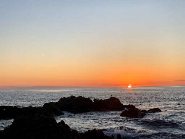 Santa Cruz County Home 1018444