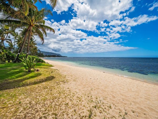 Beachfront Vacation Estate Amazing Ocean Views in Oahu