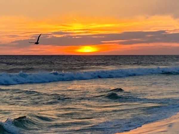 Panama City Beach Home 1018476