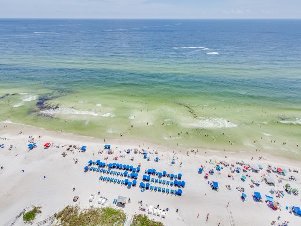 Panama City Beach Condo 1018518