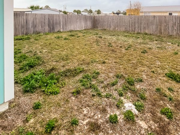 Panama City Beach Home 1018557