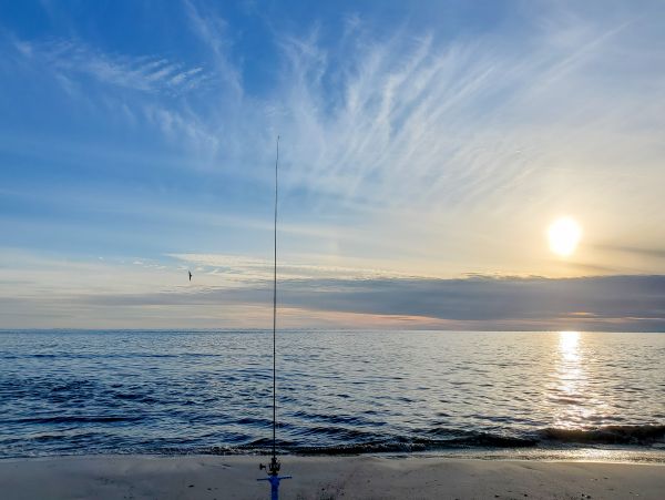 Panama City Beach Condo 1018563