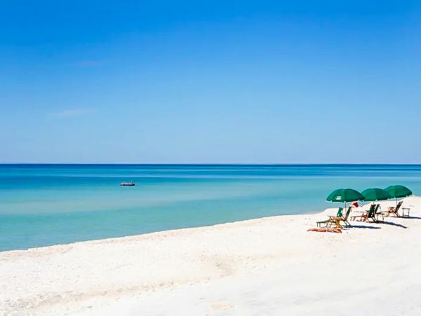 Panama City Beach Home 1018598