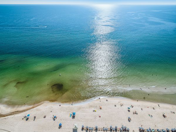 Panama City Beach Condo 1018619