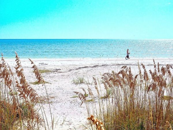 Fort Myers Vacation Condo One Bedroom Canal Views Sleeps 4