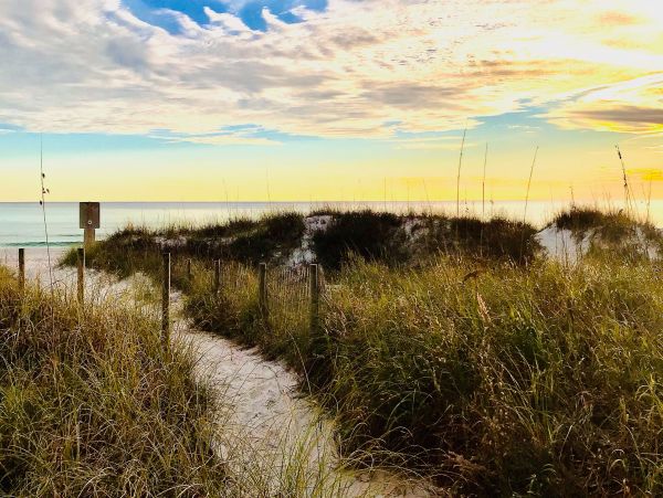 Panama City Beach Home 1018646