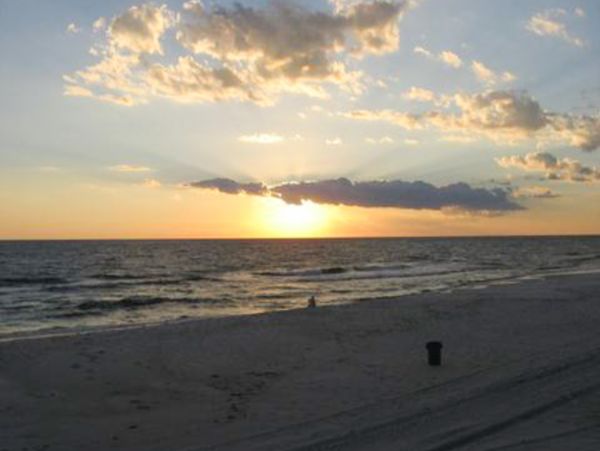 Panama City Beach Condo 1018657