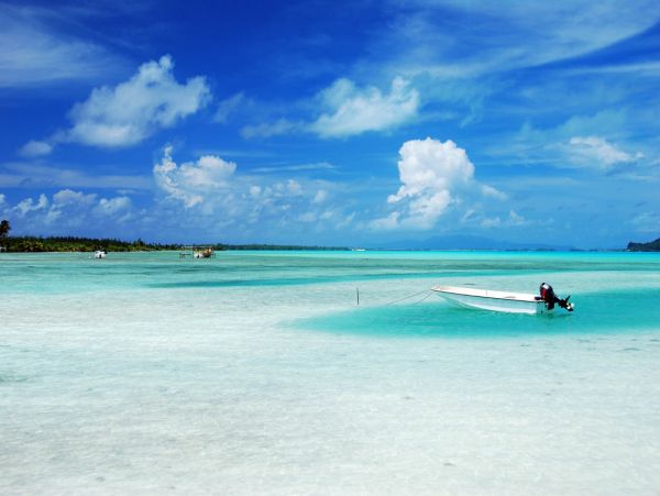 Beautiful Siesta Key 1 Bedroom Condo Walk to Beach Sleeps 4