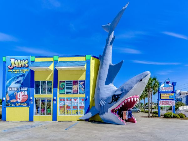 Panama City Beach Condo 1018690