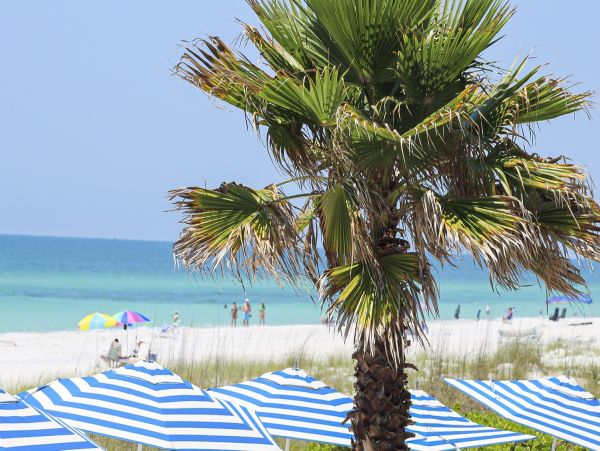 Two Bedroom Full Ocean View Vacation Condo