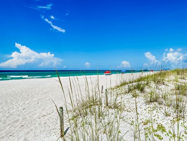 Panama City Beach Home 1018729