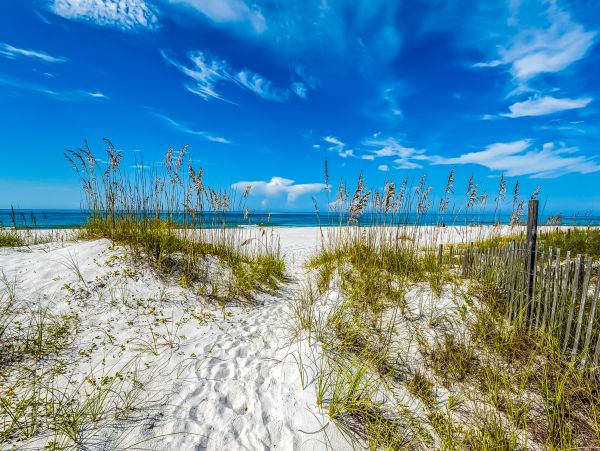 Panama City Beach Home 1018733