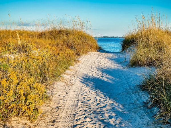 Panama City Beach Home 1018736