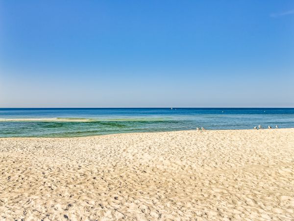 Panama City Beach Condo 1018737