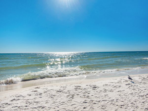 Panama City Beach Home 1018762