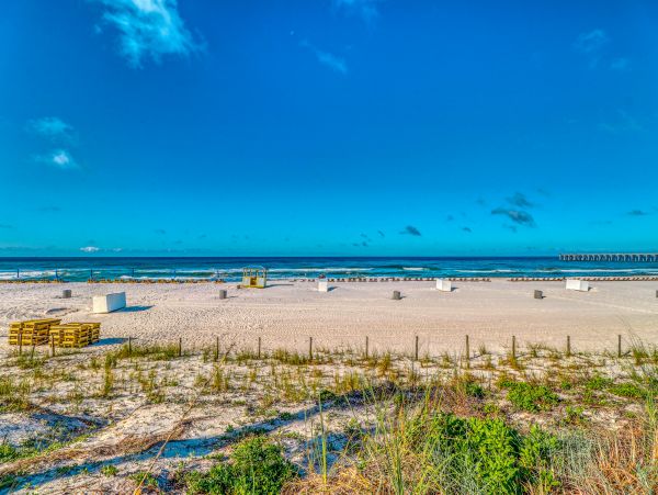 Panama City Beach Condo 1018807