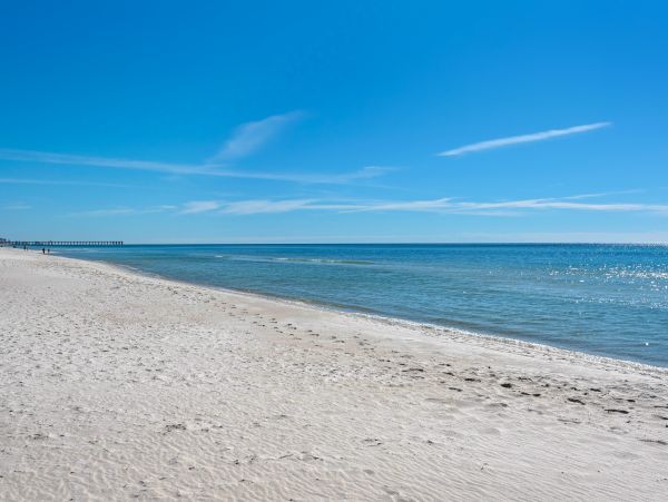 Panama City Beach Condo 1018848